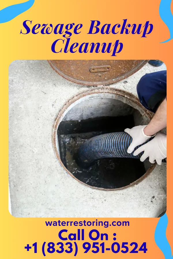 Sewage Backup Cleanup in River Park, FL